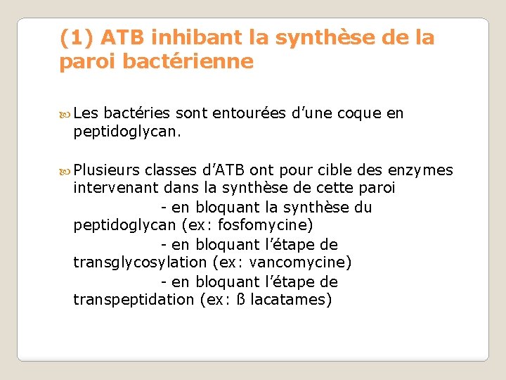(1) ATB inhibant la synthèse de la paroi bactérienne Les bactéries sont entourées d’une