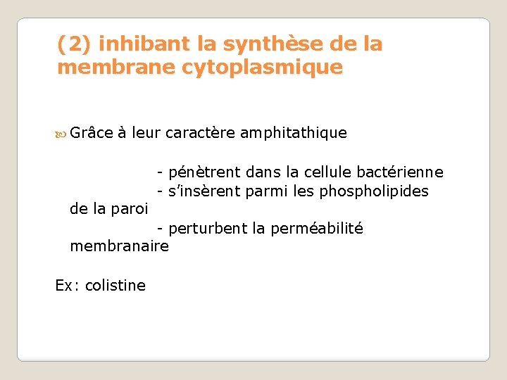 (2) inhibant la synthèse de la membrane cytoplasmique Grâce à leur caractère amphitathique de