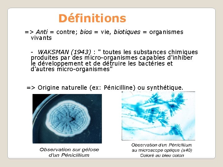 Définitions => Anti = contre; bios = vie, biotiques = organismes vivants - WAKSMAN