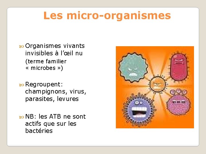 Les micro-organismes Organismes vivants invisibles à l’œil nu (terme familier « microbes » )