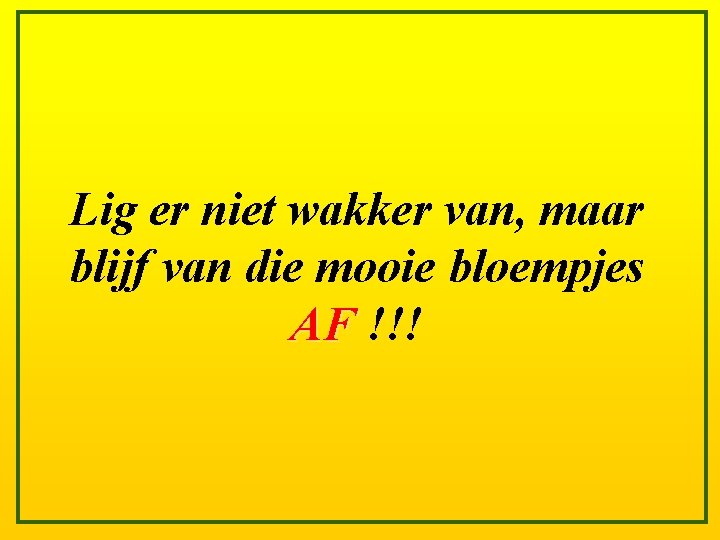 Lig er niet wakker van, maar blijf van die mooie bloempjes AF !!! 