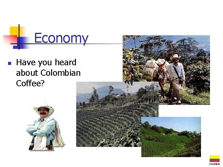 Economy n Have you heard about Colombian Coffee? COLOMBIA 