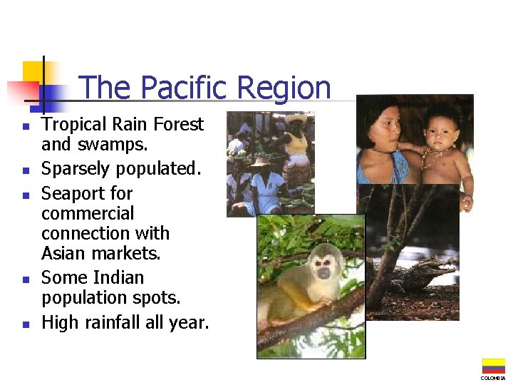 The Pacific Region n n Tropical Rain Forest and swamps. Sparsely populated. Seaport for