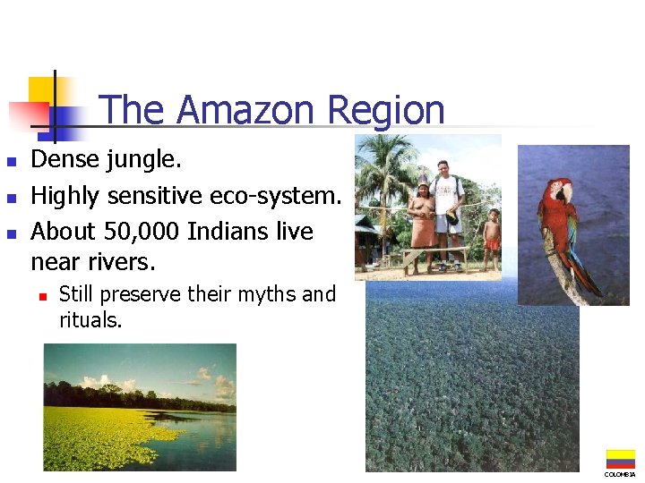 The Amazon Region n Dense jungle. Highly sensitive eco-system. About 50, 000 Indians live