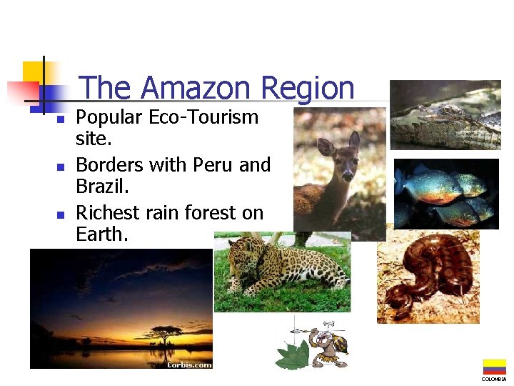 The Amazon Region n Popular Eco-Tourism site. Borders with Peru and Brazil. Richest rain