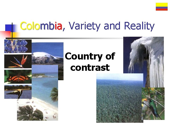 Colombia, ia Variety and Reality Country of contrast 