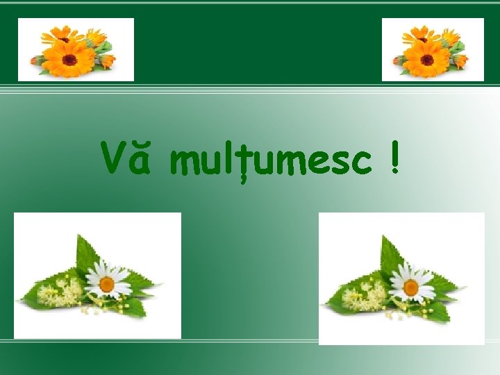 Vă mulțumesc ! 