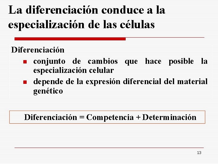 La diferenciación conduce a la especialización de las células Diferenciación n conjunto de cambios