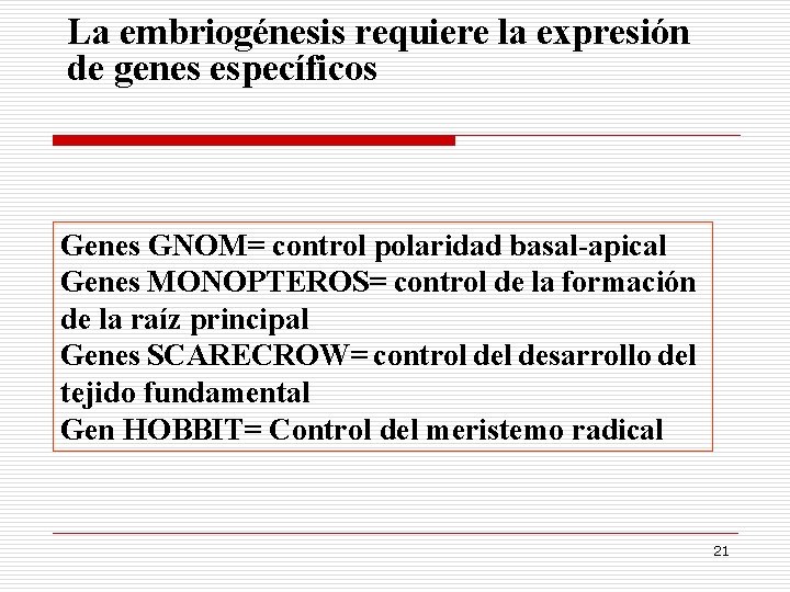 La embriogénesis requiere la expresión de genes específicos Genes GNOM= control polaridad basal-apical Genes