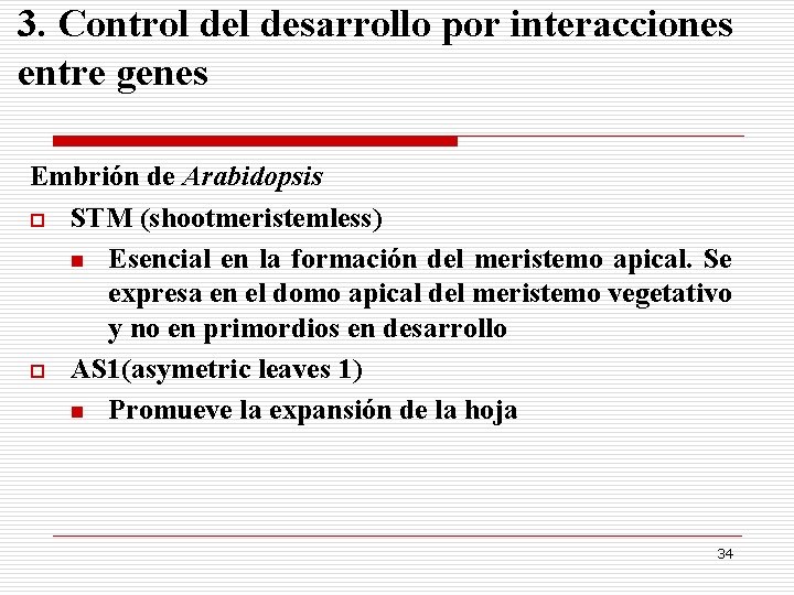 3. Control desarrollo por interacciones entre genes Embrión de Arabidopsis o STM (shootmeristemless) n