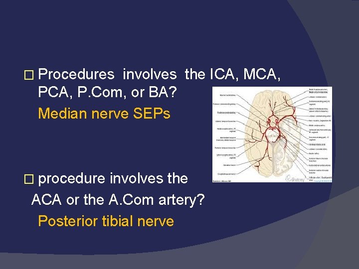 � Procedures involves the ICA, MCA, P. Com, or BA? Median nerve SEPs �