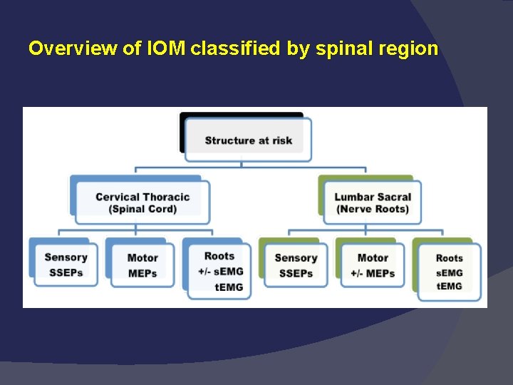 Overview of IOM classified by spinal region 