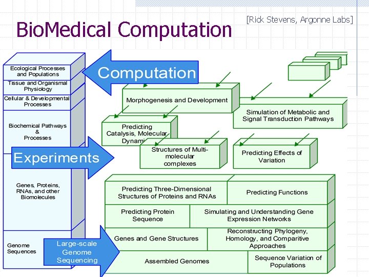 Bio. Medical Computation [Rick Stevens, Argonne Labs] 