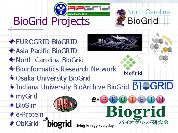 Bio. Grid Projects EUROGRID Bio. GRID Asia Pacific Bio. GRID North Carolina Bio. Grid