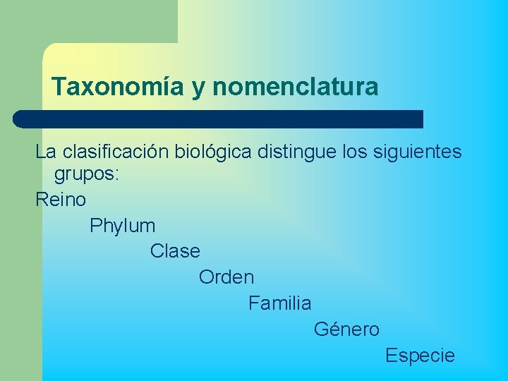 Taxonomía y nomenclatura La clasificación biológica distingue los siguientes grupos: Reino Phylum Clase Orden