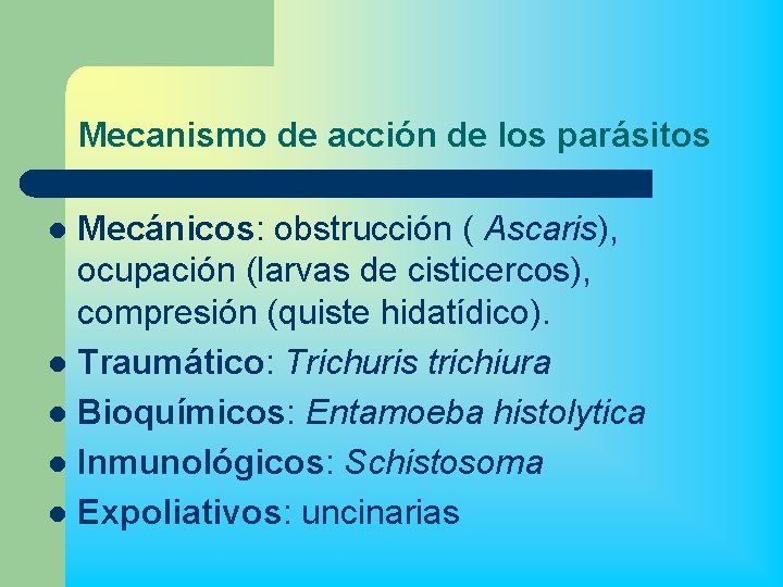 Mecanismo de acción de los parásitos Mecánicos: obstrucción ( Ascaris), ocupación (larvas de cisticercos),