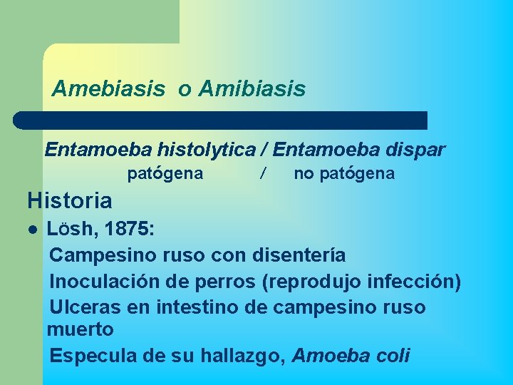 Amebiasis o Amibiasis Entamoeba histolytica / Entamoeba dispar patógena / no patógena Historia l