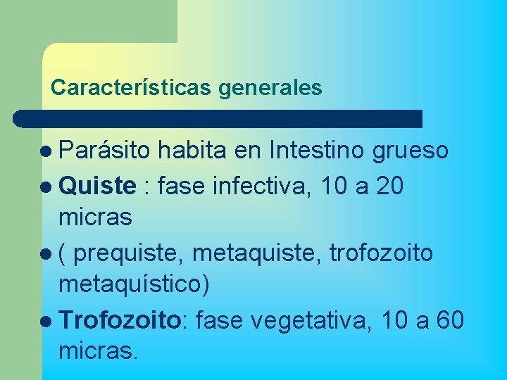 Características generales l Parásito habita en Intestino grueso l Quiste : fase infectiva, 10