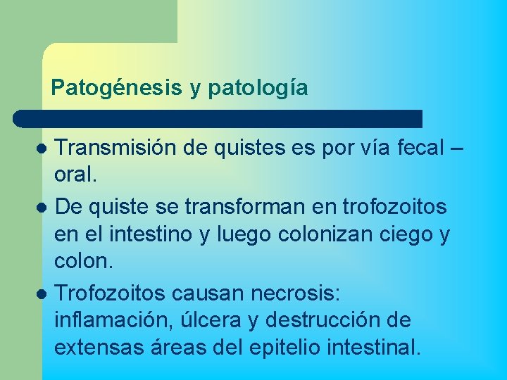 Patogénesis y patología Transmisión de quistes es por vía fecal – oral. l De