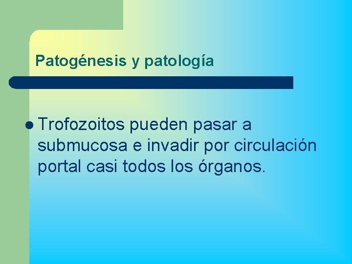 Patogénesis y patología l Trofozoitos pueden pasar a submucosa e invadir por circulación portal