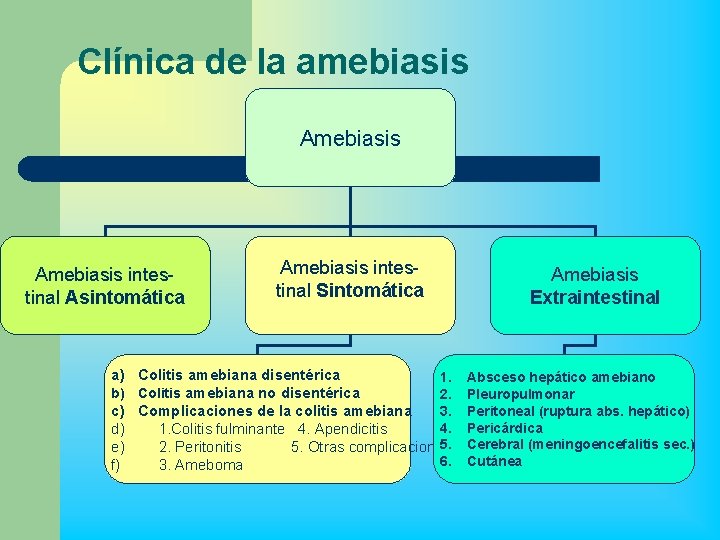 Clínica de la amebiasis Amebiasis intestinal Asintomática Amebiasis intestinal Sintomática a) Colitis amebiana disentérica