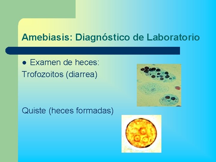 Amebiasis: Diagnóstico de Laboratorio Examen de heces: Trofozoitos (diarrea) l Quiste (heces formadas) 
