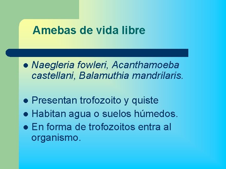 Amebas de vida libre l Naegleria fowleri, Acanthamoeba castellani, Balamuthia mandrilaris. Presentan trofozoito y