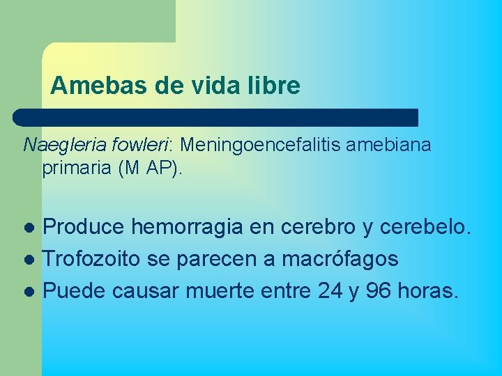 Amebas de vida libre Naegleria fowleri: Meningoencefalitis amebiana primaria (M AP). Produce hemorragia en