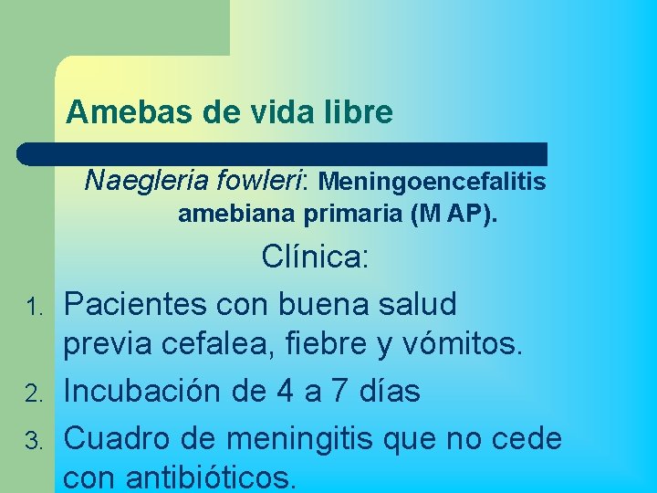 Amebas de vida libre Naegleria fowleri: Meningoencefalitis amebiana primaria (M AP). 1. 2. 3.