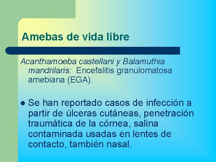 Amebas de vida libre Acanthamoeba castellani y Balamuthia mandrilaris: Encefalitis granulomatosa amebiana (EGA). l