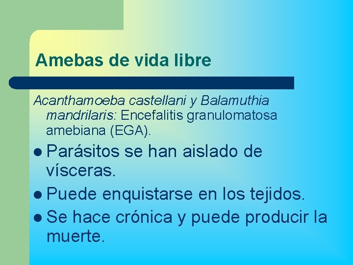Amebas de vida libre Acanthamoeba castellani y Balamuthia mandrilaris: Encefalitis granulomatosa amebiana (EGA). l