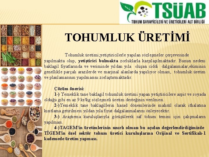 TOHUMLUK ÜRETİMİ Tohumluk üretimi; yetiştiricilerle yapılan sözleşmeler çerçevesinde yapılmakta olup, yetiştirici bulmakta zorluklarla karşılaşılmaktadır.