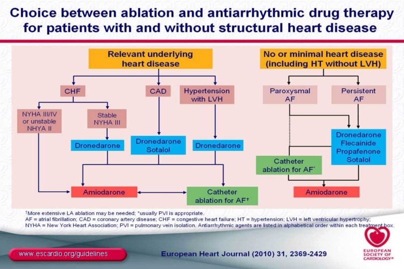 www. escardio. org/guidelines 