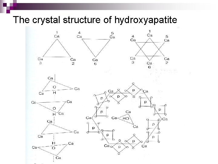 The crystal structure of hydroxyapatite 