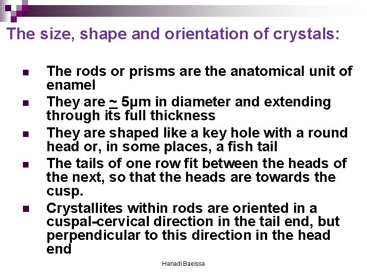 The size, shape and orientation of crystals: n n n The rods or prisms