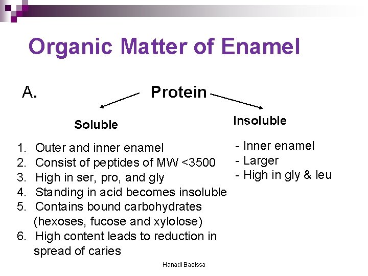 Organic Matter of Enamel A. Protein Insoluble Soluble - Inner enamel Outer and inner