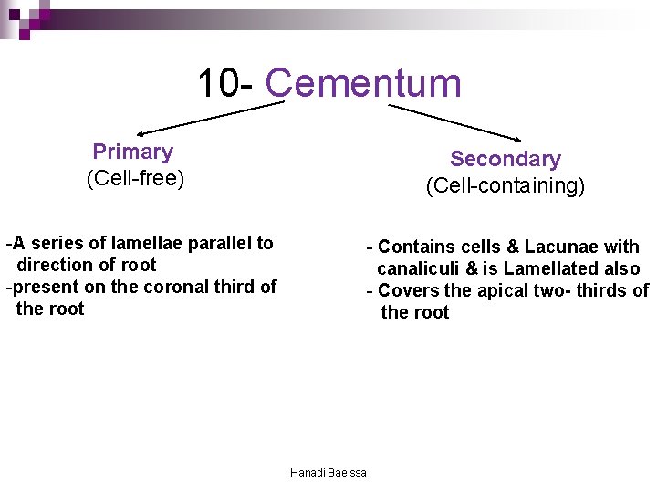 10 - Cementum Primary (Cell-free) -A series of lamellae parallel to direction of root