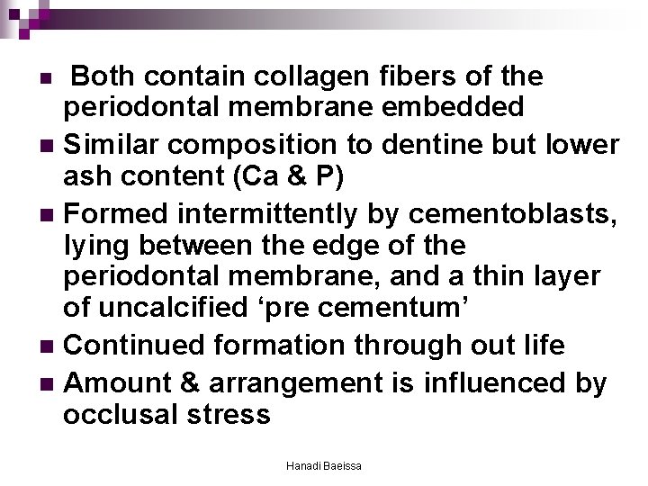 Both contain collagen fibers of the periodontal membrane embedded n Similar composition to dentine