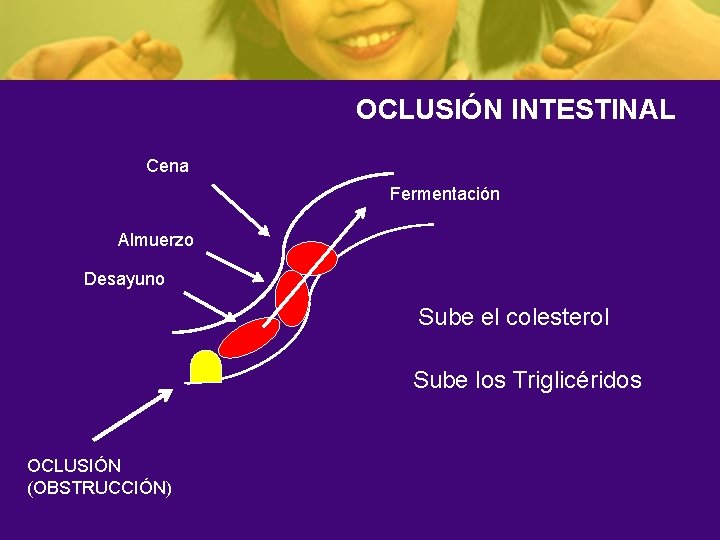 OCLUSIÓN INTESTINAL Cena Fermentación Almuerzo Desayuno Sube el colesterol Sube los Triglicéridos OCLUSIÓN (OBSTRUCCIÓN)