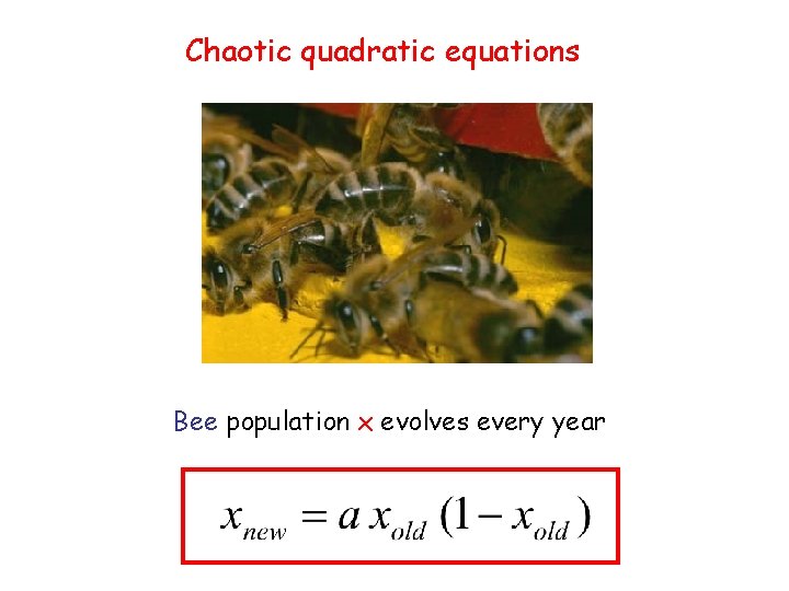 Chaotic quadratic equations Bee population x evolves every year 