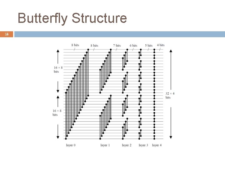 Butterfly Structure 18 