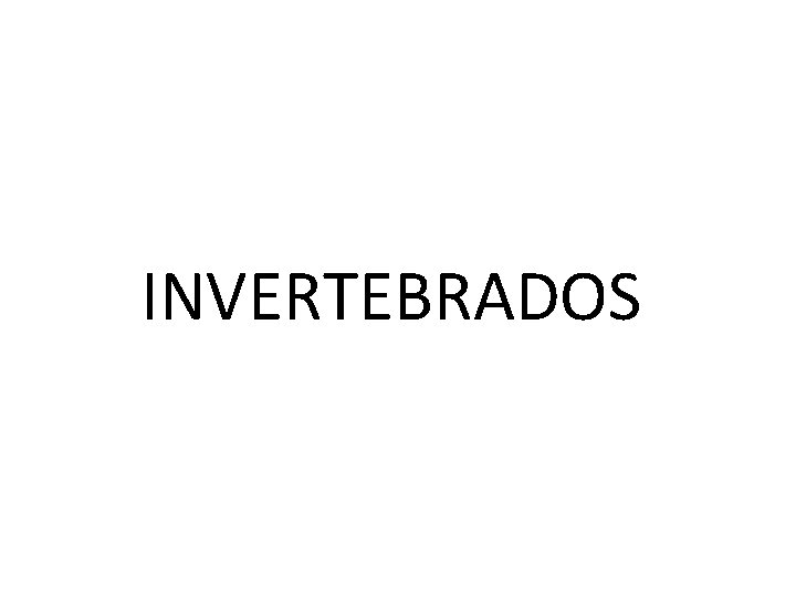 INVERTEBRADOS 