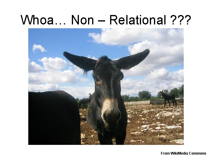 Whoa… Non – Relational ? ? ? From Wiki. Media Commons 