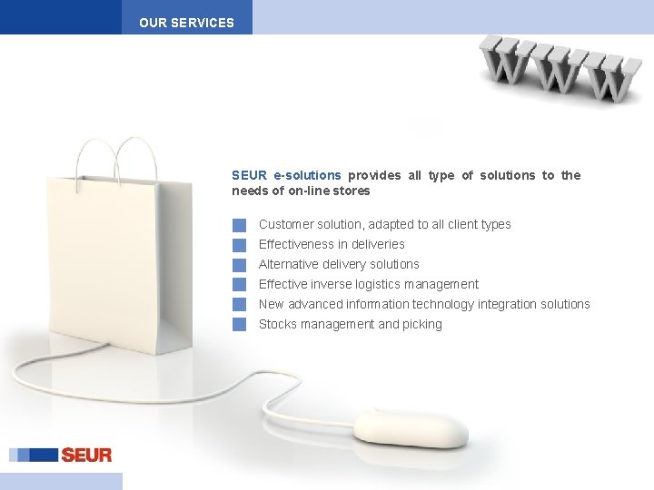 OUR SERVICES SEUR e-solutions provides all type of solutions to the needs of on-line