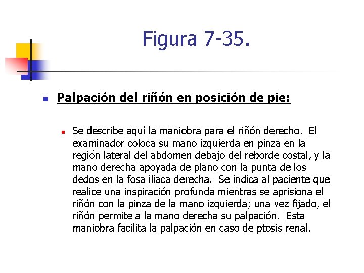 Figura 7 -35. n Palpación del riñón en posición de pie: n Se describe