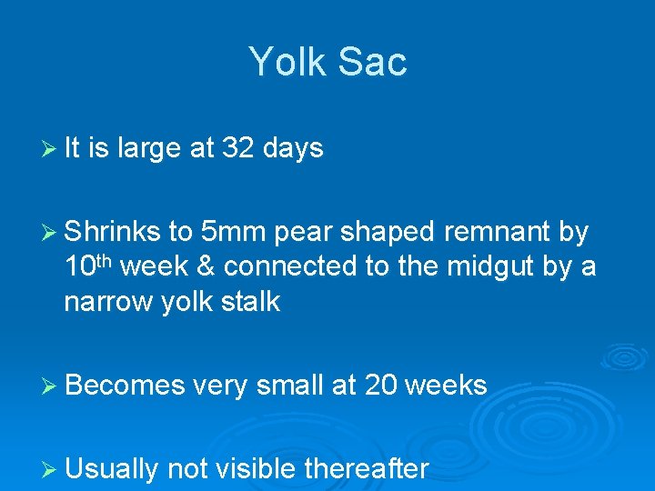 Yolk Sac Ø It is large at 32 days Ø Shrinks to 5 mm