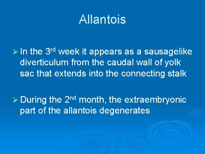 Allantois Ø In the 3 rd week it appears as a sausagelike diverticulum from