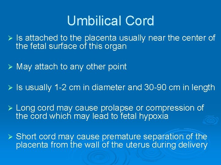 Umbilical Cord Ø Is attached to the placenta usually near the center of the