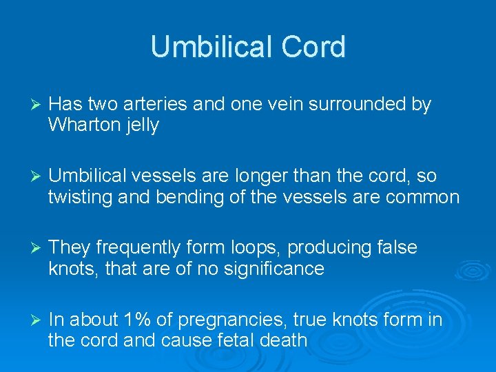 Umbilical Cord Ø Has two arteries and one vein surrounded by Wharton jelly Ø