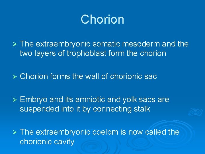 Chorion Ø The extraembryonic somatic mesoderm and the two layers of trophoblast form the